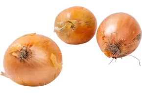 Uien verpakt 1kg 40-60